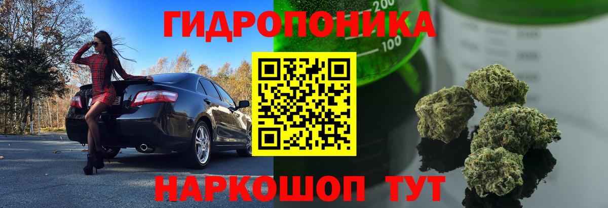 Шишки марихуана план Котовск